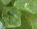 Chrysoberyl faceted gems from orissa gems