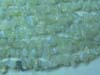 Australian Opal Uncut Chips First Quality