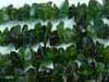 Green Garnet Uncut Chips First Quality